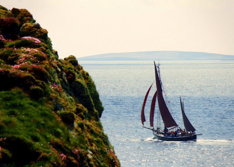 Swan leaving Lerwick Harbour