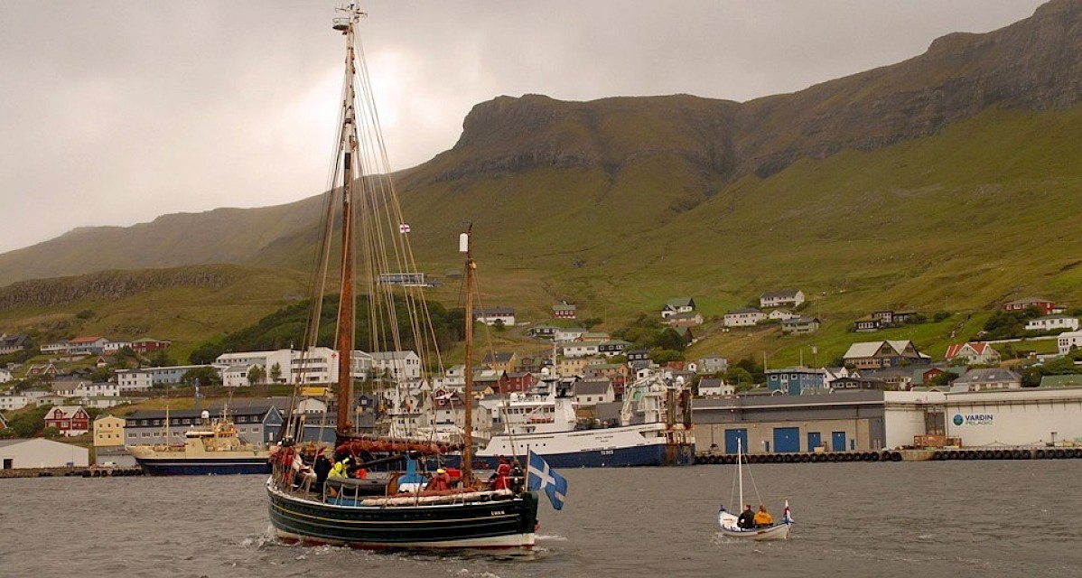 Swan sailing in Faroe with modern fishing trawlers in the background