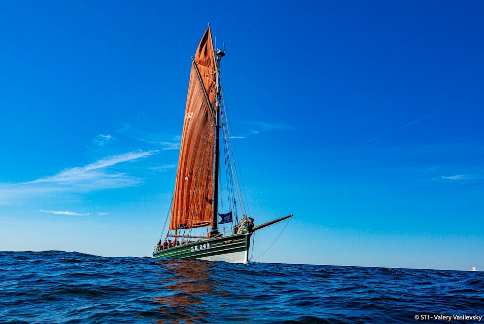 Tall Ships 2019, Swan arriving in Fredrikstad ©Sail Training International - Valery Vasilevsky