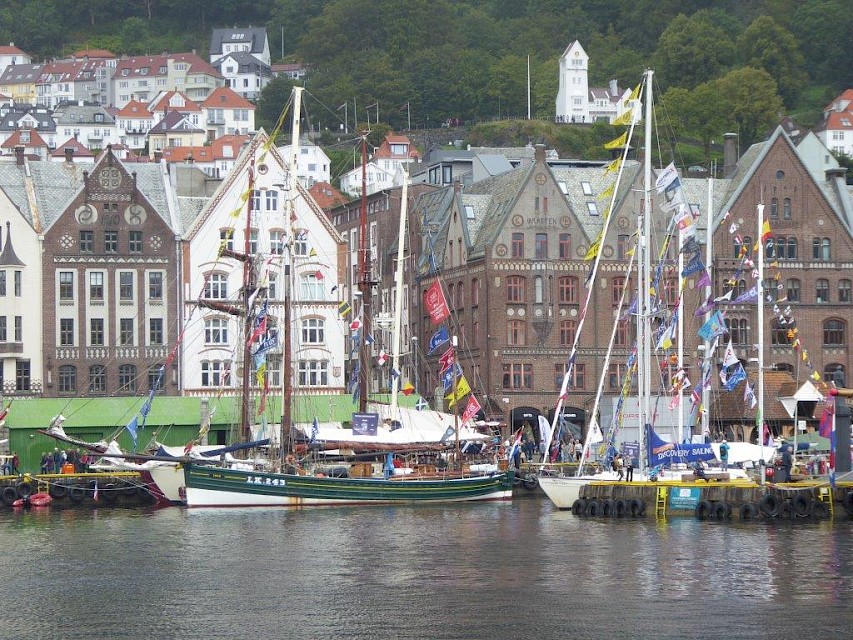 Swan in Bergen ©Joanna Robertson