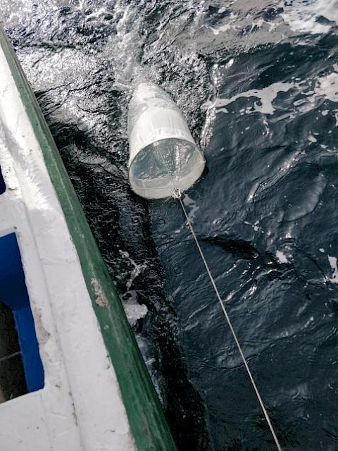 Taking water samples with plankton net