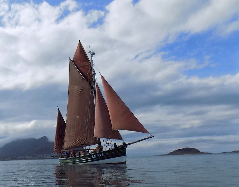 Swan under full sail