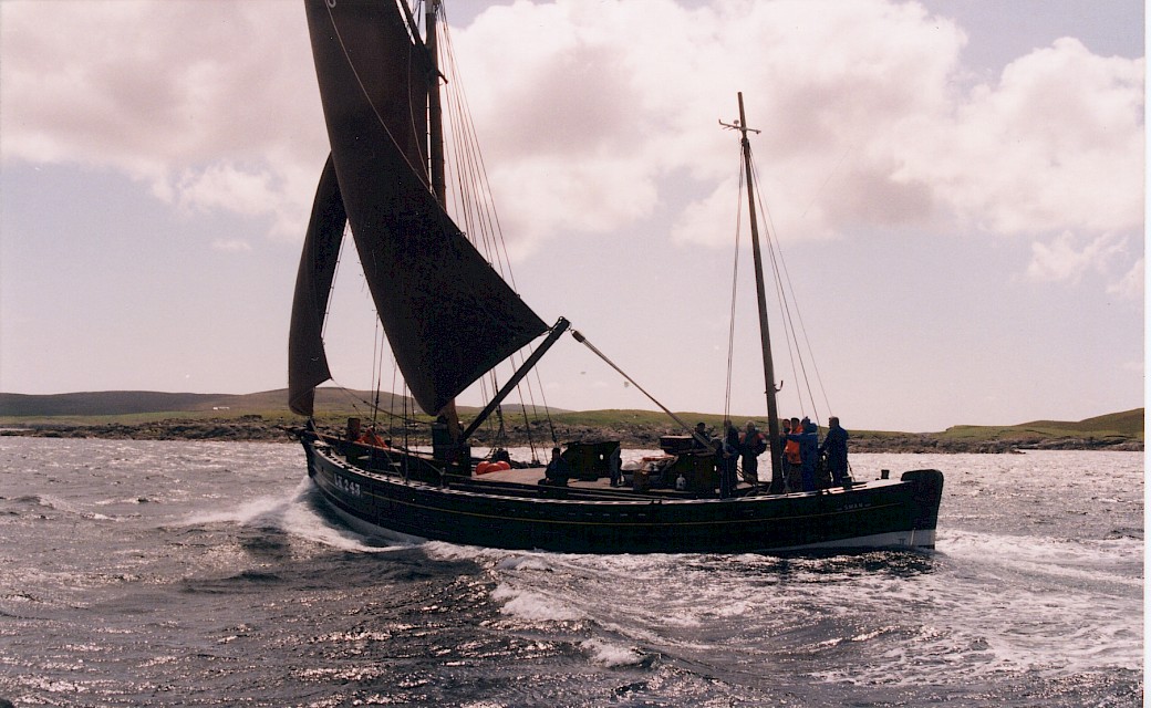Swan in the 1990s, following her relaunch