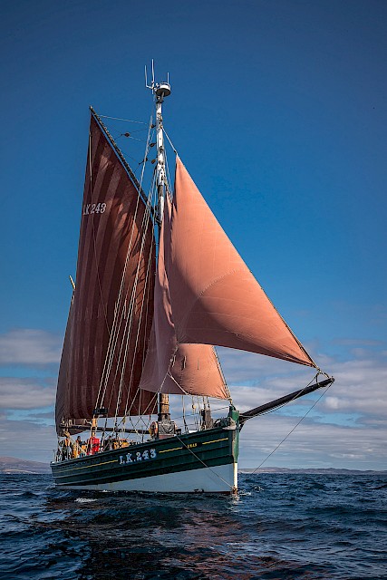 The Swan. Image: Garry Sandison