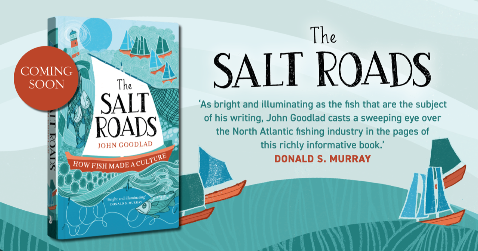 The Salt Roads book cover and review