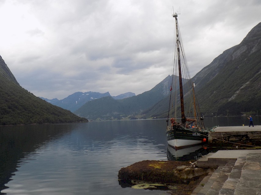 The Swan in a Norwegian fjord