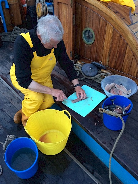 Ian on deck filleting mackerel