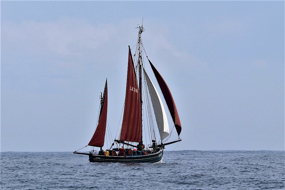 The Swan on an open water passage in 2019. Image: Robert Malcolm