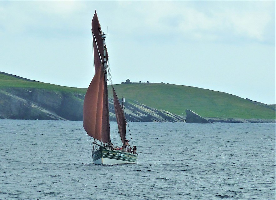 Swan in Mousa Sound