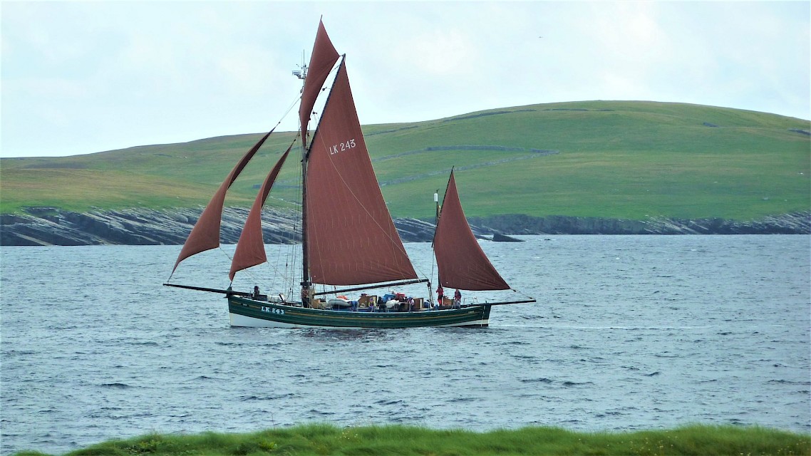 Swan under full sail in Mousa Sound