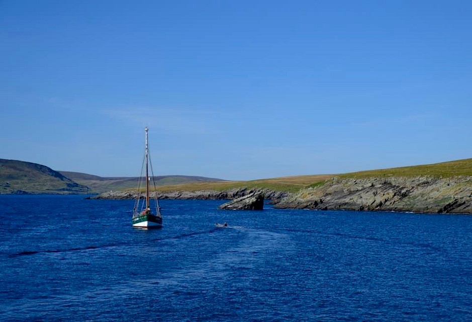 The Swan in a Shetland Voe. Image: James Wood